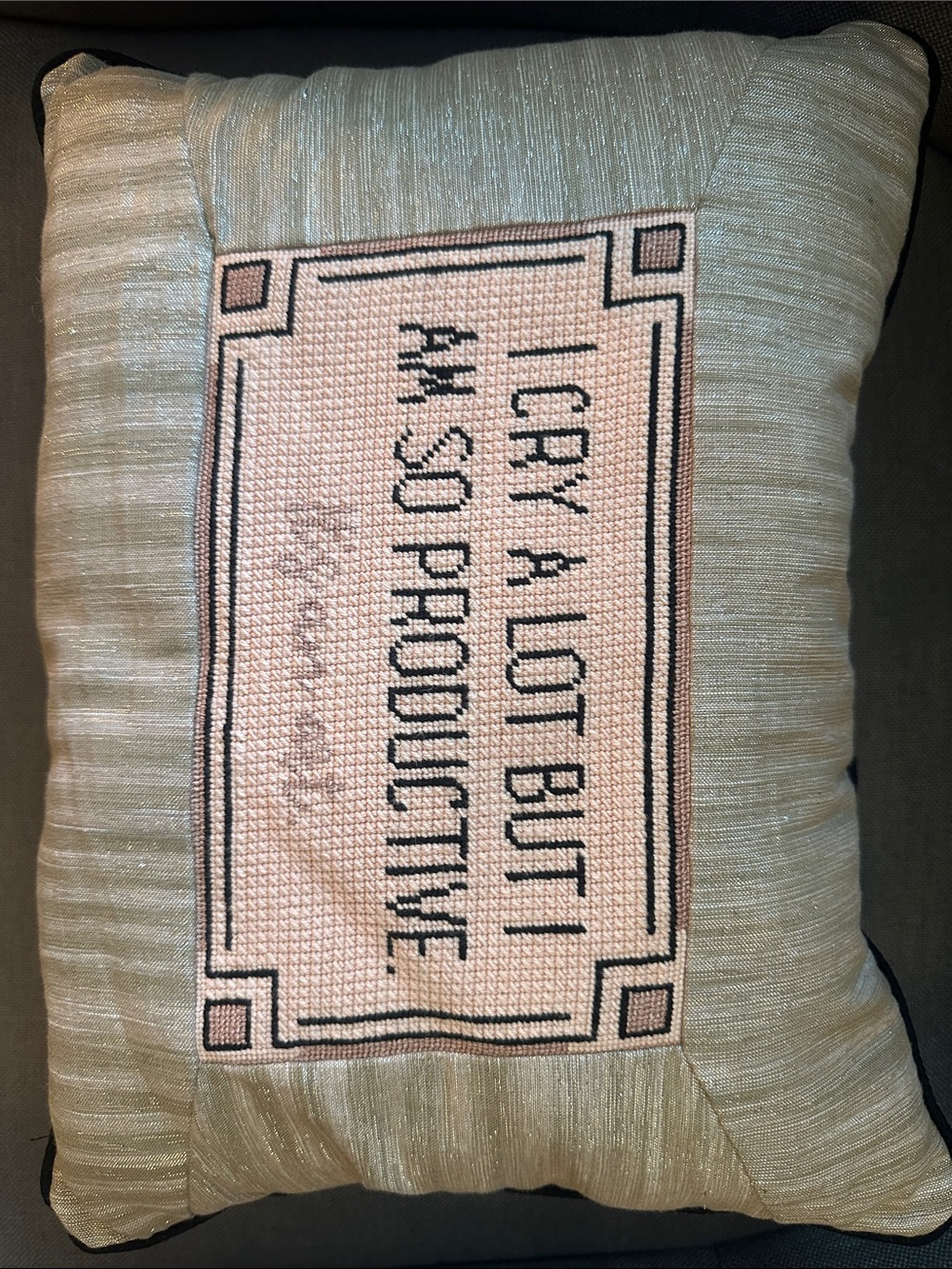 Handcrafted Taylor Swift Needlepoint Pillow